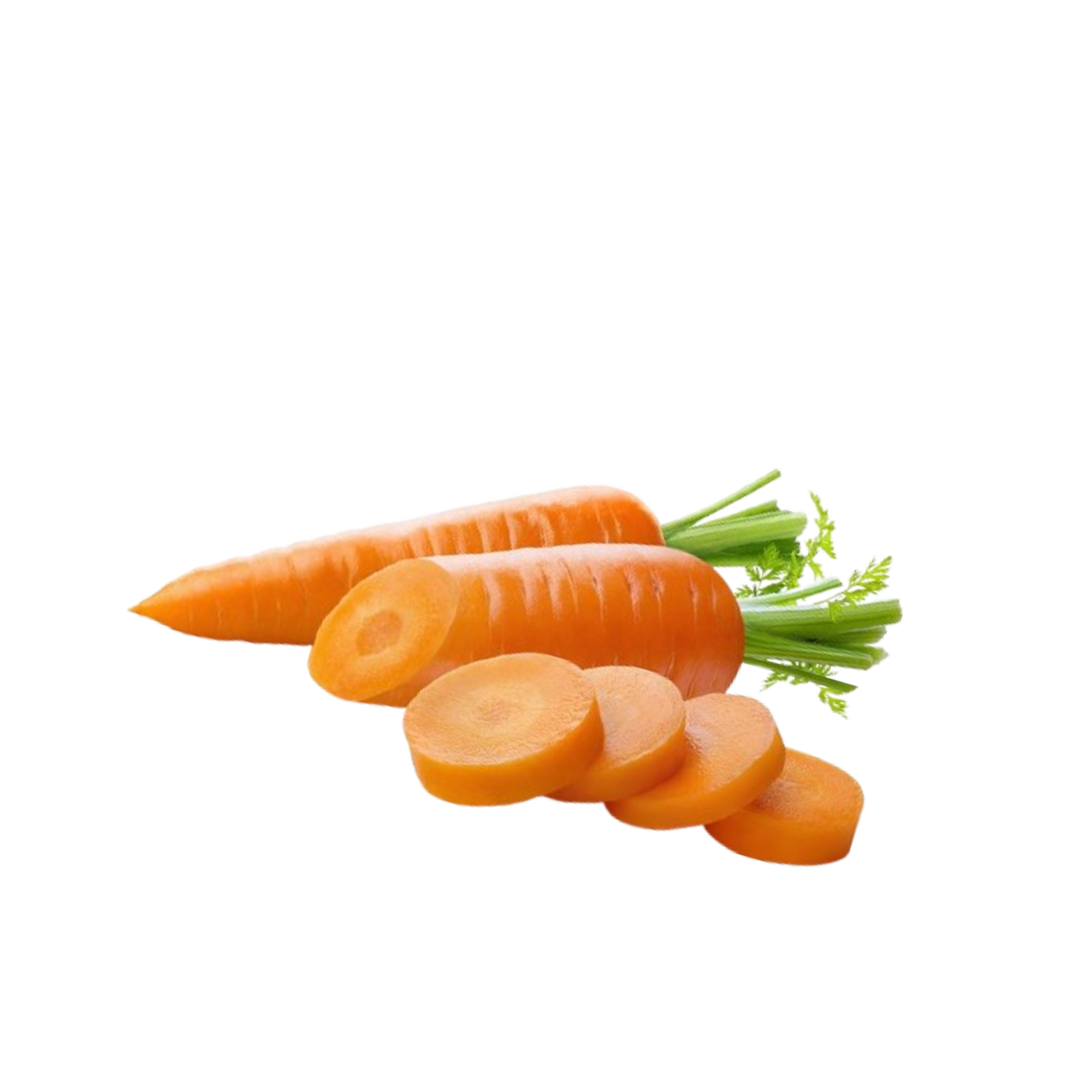 Dog with healthy food