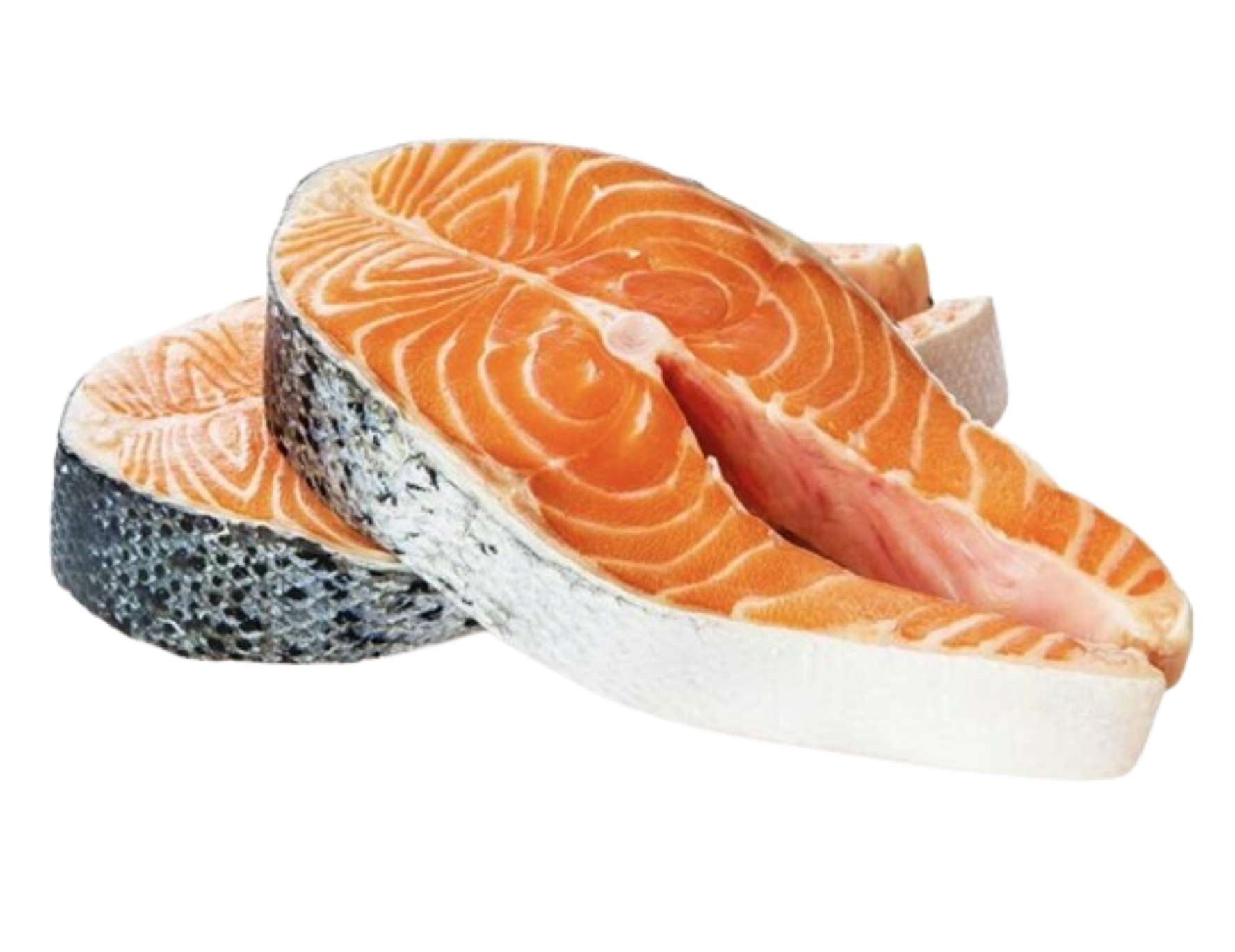 Dog with healthy food