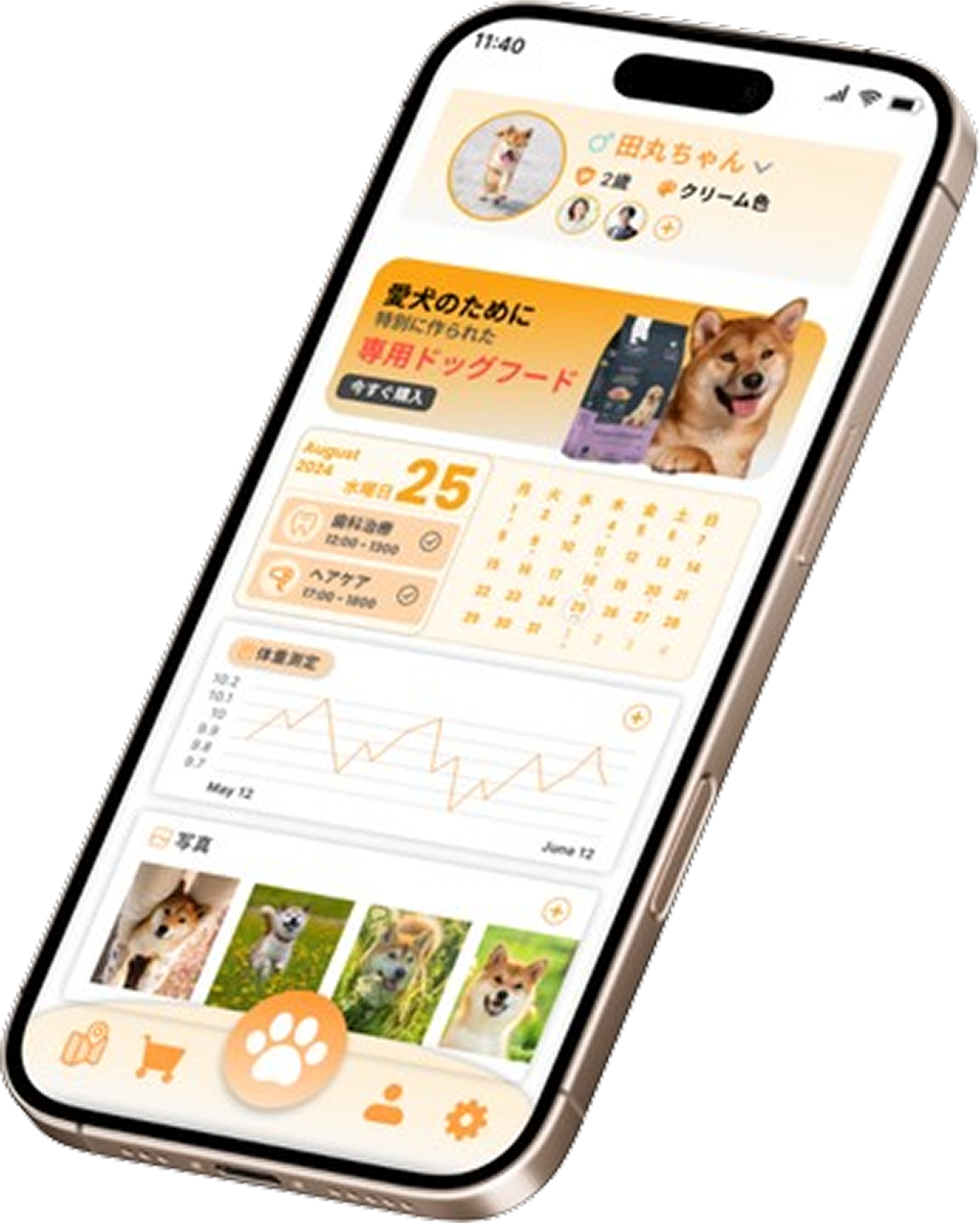 訂閱制寵物食品